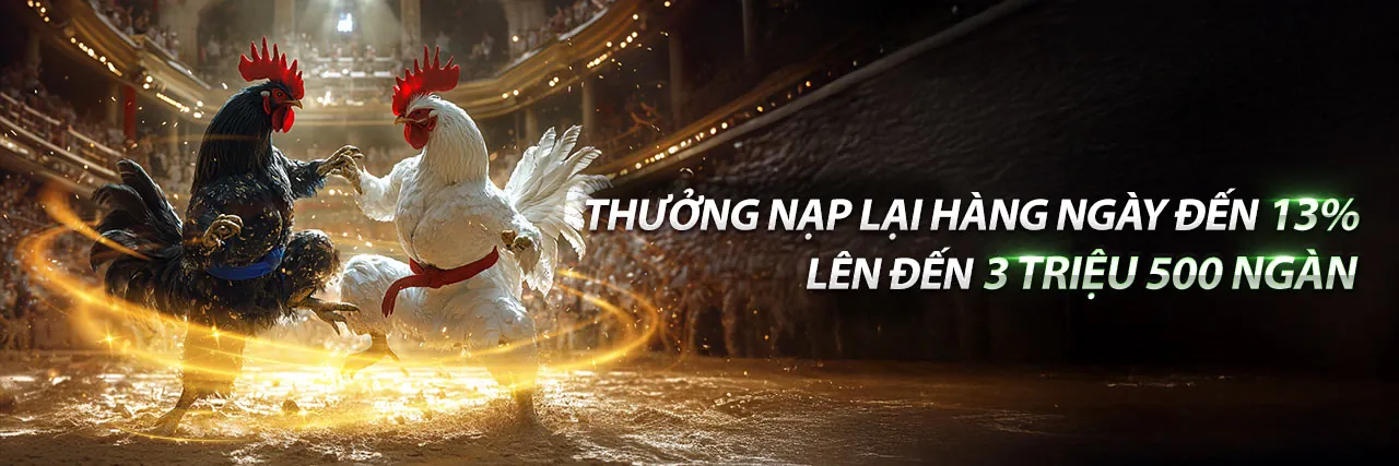 Đá Gà Cựa Dao Quốc Tế - Sân Chơi Đỉnh Cao